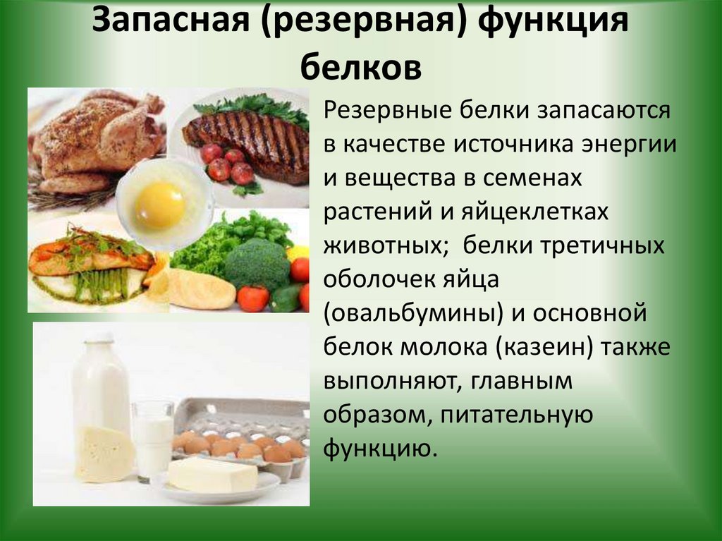 Запасная (резервная) функция белков