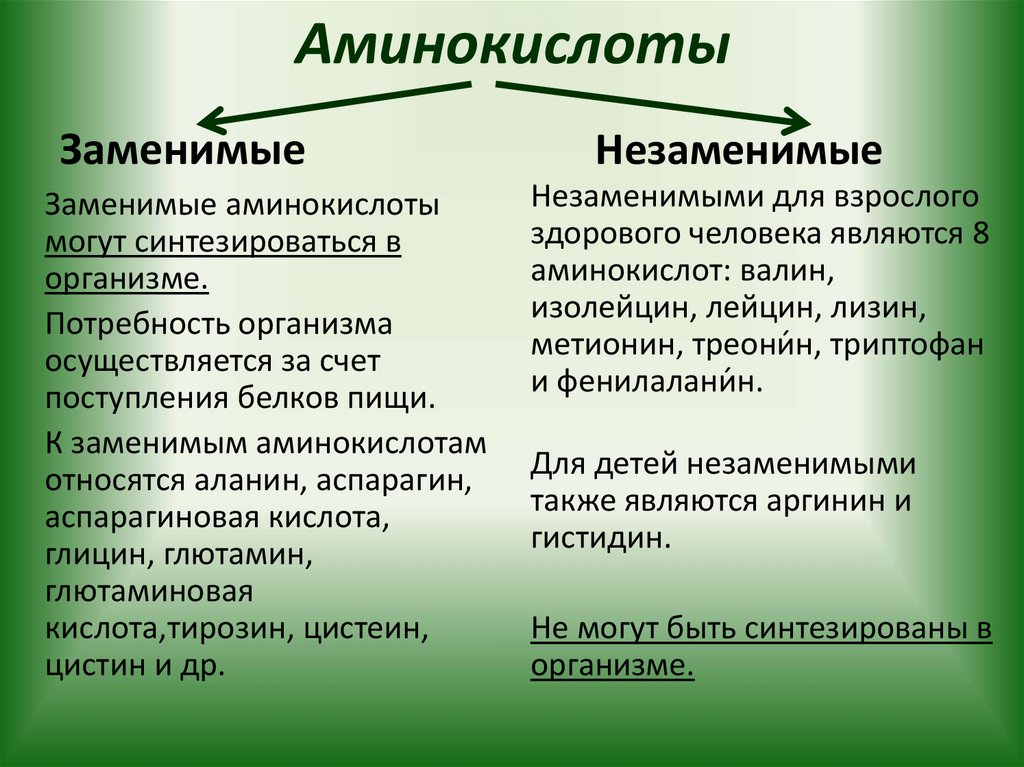 Аминокислоты