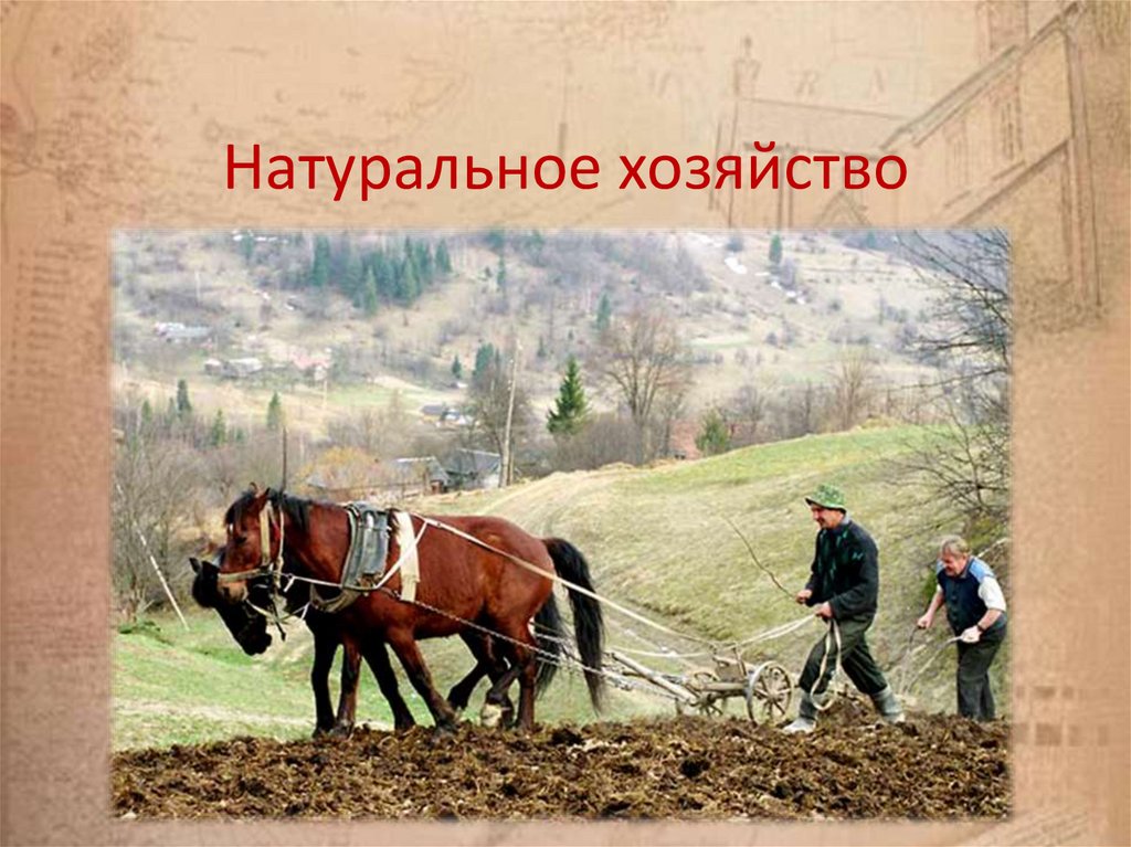 Натуральное хозяйство