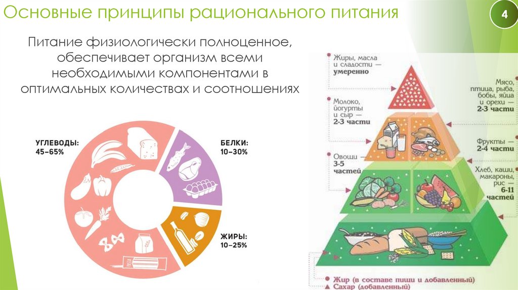 Основные принципы рационального питания