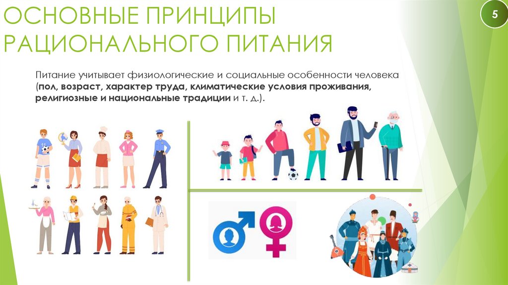 ОСНОВНЫЕ ПРИНЦИПЫ РАЦИОНАЛЬНОГО ПИТАНИЯ