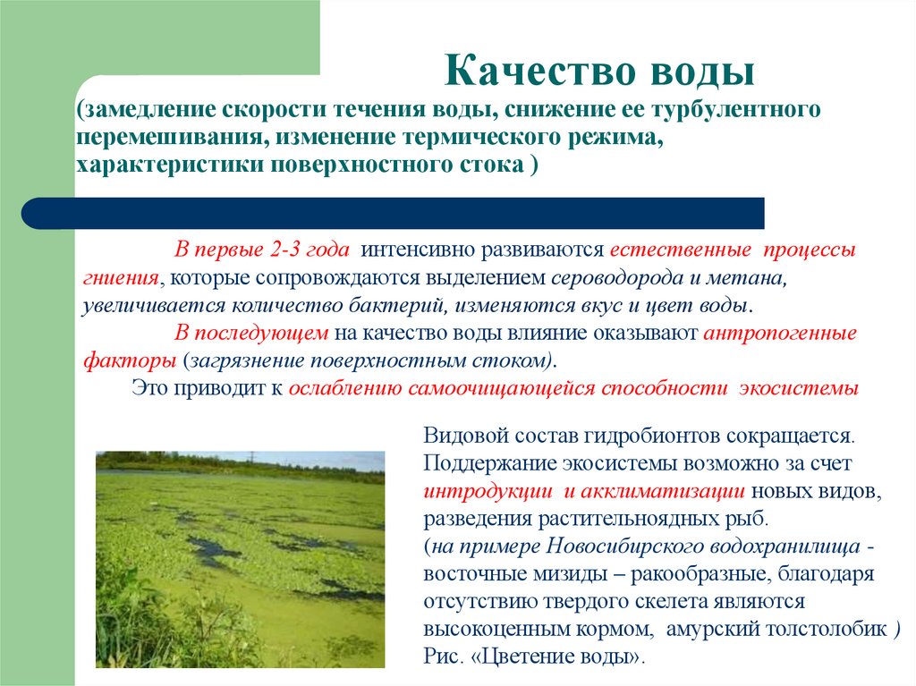 Качество воды (замедление скорости течения воды, снижение ее турбулентного перемешивания, изменение термического режима,