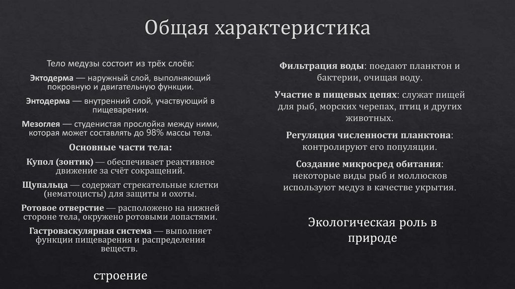 Общая характеристика