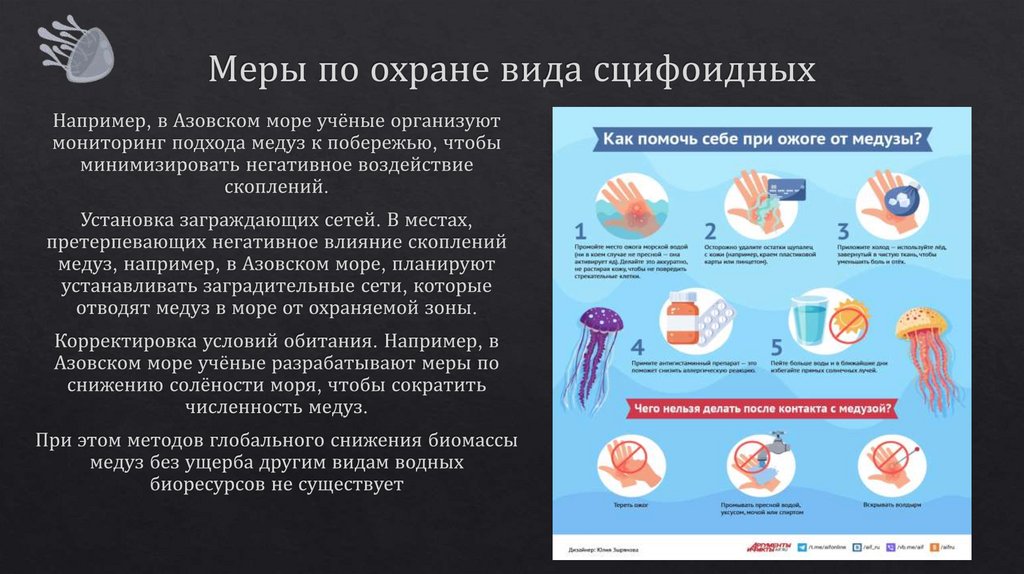 Меры по охране вида сцифоидных