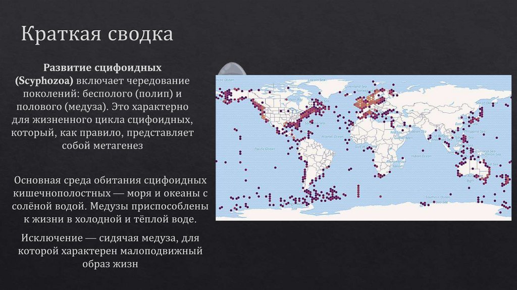 Краткая сводка