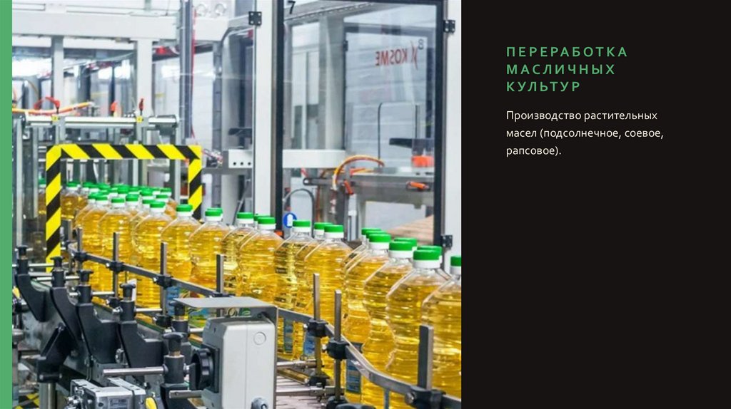 Переработка масличных культур
