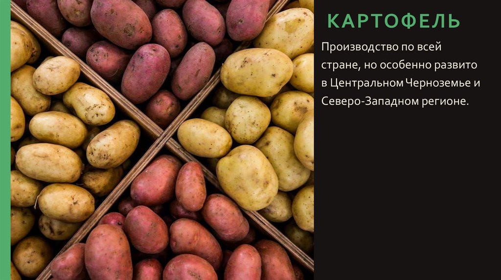 Картофель