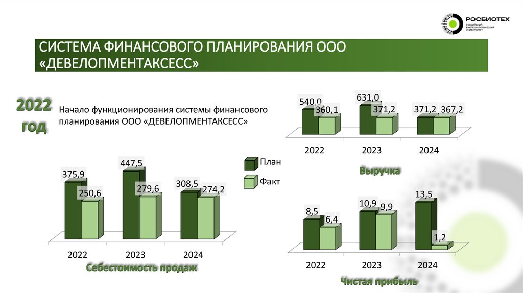 СИСТЕМА ФИНАНСОВОГО ПЛАНИРОВАНИЯ ООО «ДЕВЕЛОПМЕНТАКСЕСС»