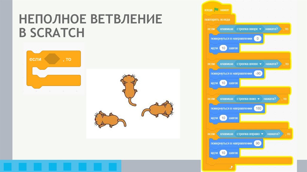 НЕПОЛНОЕ ВЕТВЛЕНИЕ В SCRATCH