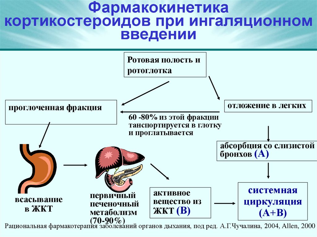 Фармакокинетика кортикостероидов при ингаляционном введении