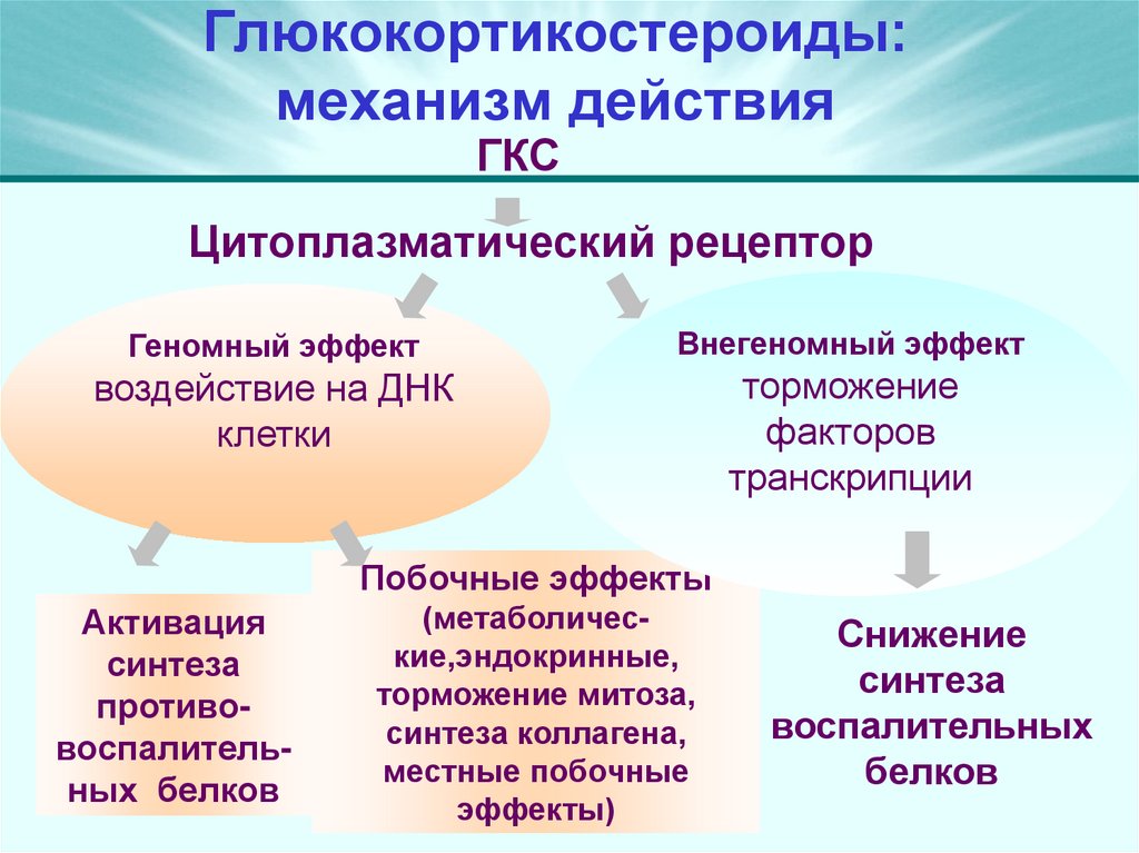 Глюкокортикостероиды: механизм действия