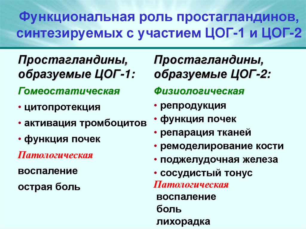 Функциональная роль простагландинов, синтезируемых с участием ЦОГ-1 и ЦОГ-2