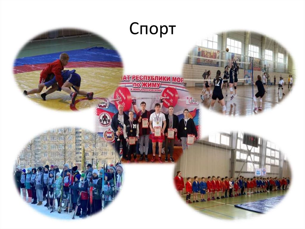 Спорт
