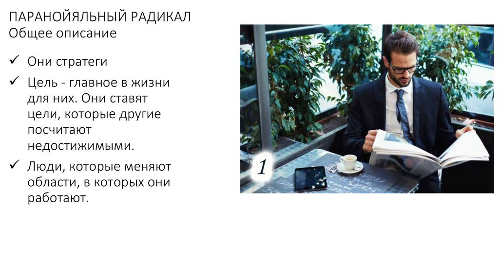 ПАРАНОЙЯЛЬНЫЙ РАДИКАЛ Общее описание