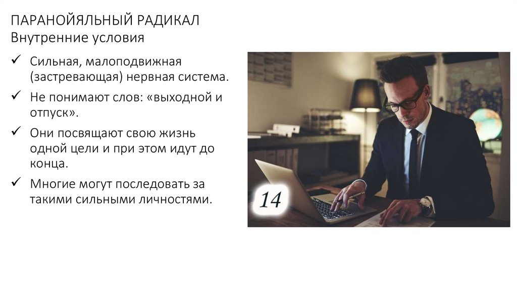 ПАРАНОЙЯЛЬНЫЙ РАДИКАЛ Внутренние условия