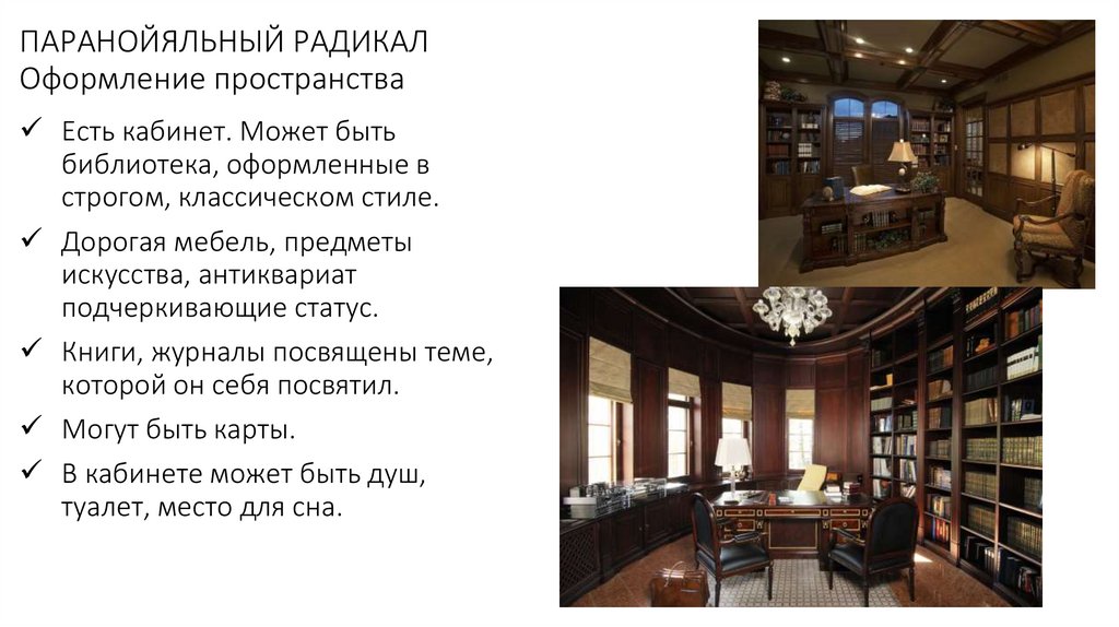 ПАРАНОЙЯЛЬНЫЙ РАДИКАЛ Оформление пространства