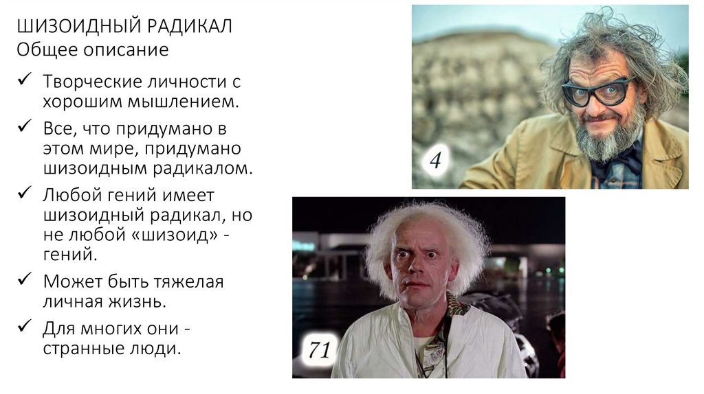 ШИЗОИДНЫЙ РАДИКАЛ Общее описание