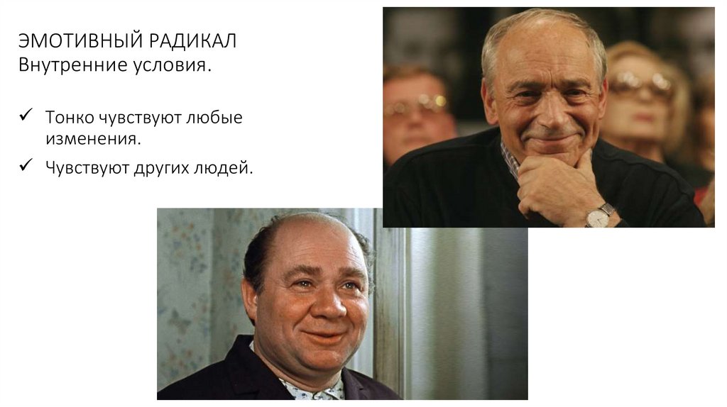 ЭМОТИВНЫЙ РАДИКАЛ Внутренние условия.