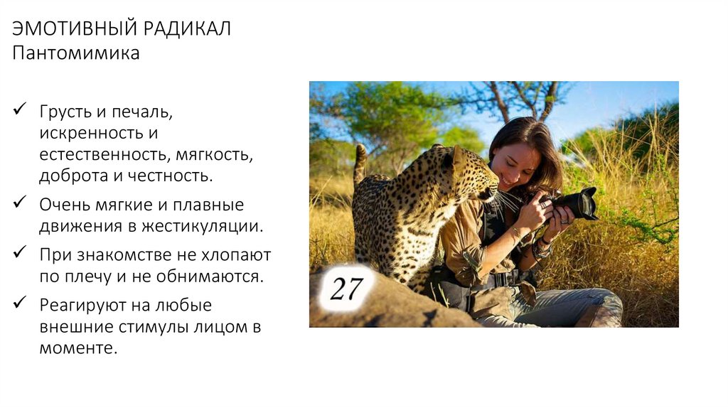 ЭМОТИВНЫЙ РАДИКАЛ Пантомимика