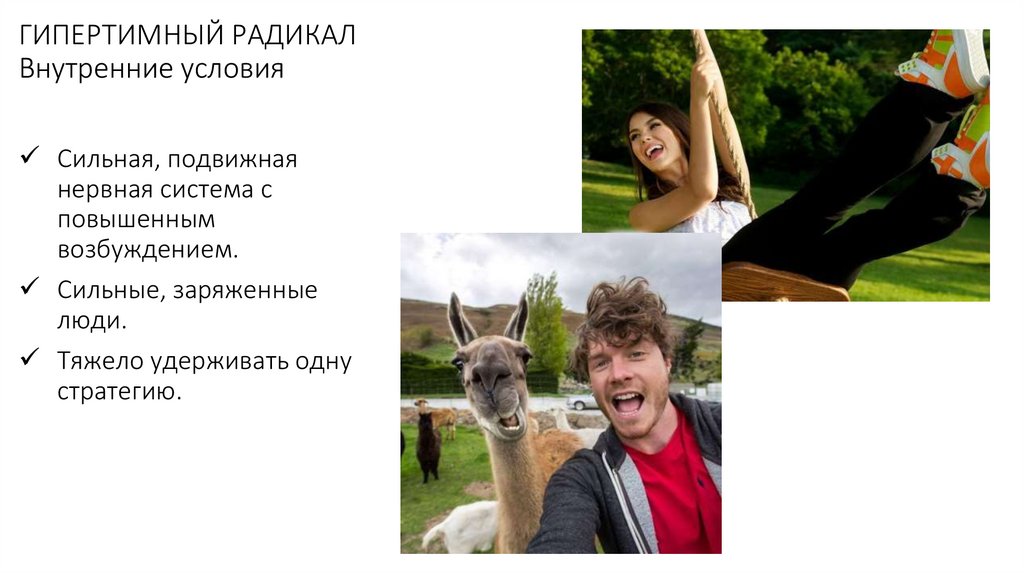 ГИПЕРТИМНЫЙ РАДИКАЛ Внутренние условия