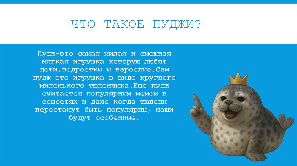 Что такое пуджи?
