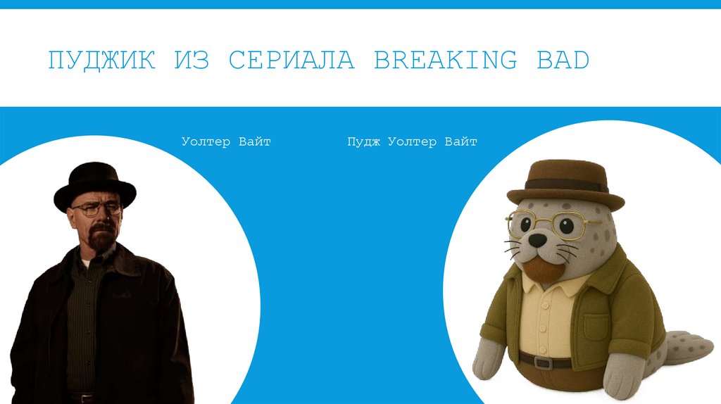 Пуджик из сериала breaking bad