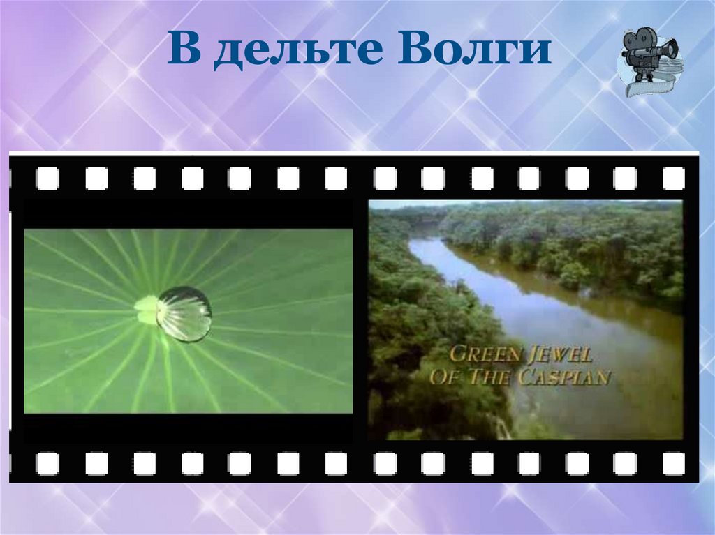 В дельте Волги