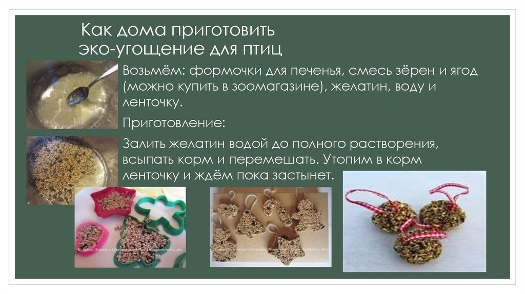 Как дома приготовить эко-угощение для птиц