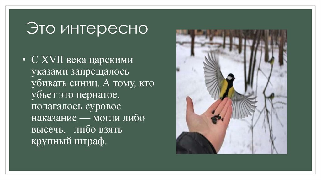 Это интересно