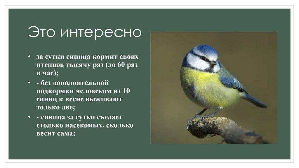 Это интересно