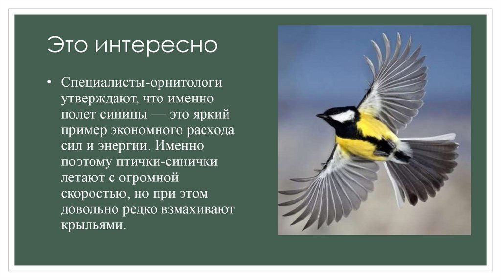 Это интересно