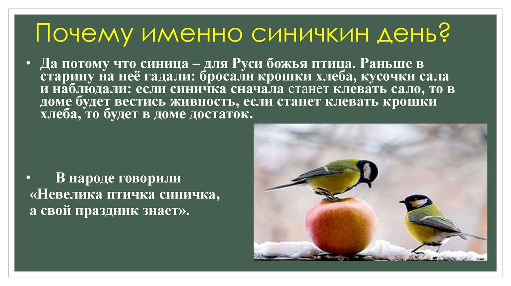 Почему именно синичкин день?