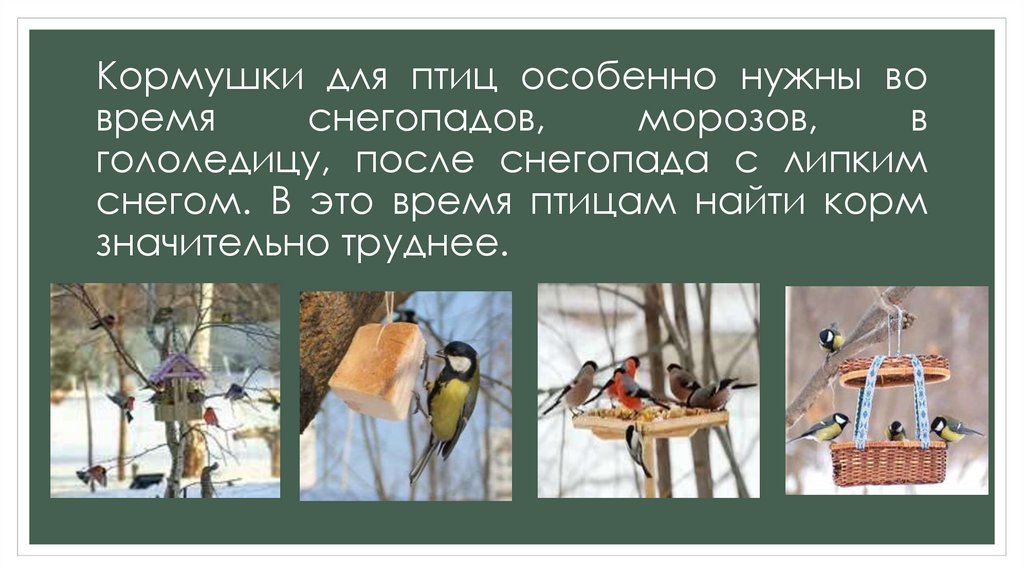 Кормушки для птиц особенно нужны во время снегопадов, морозов, в гололедицу, после снегопада с липким снегом. В это время