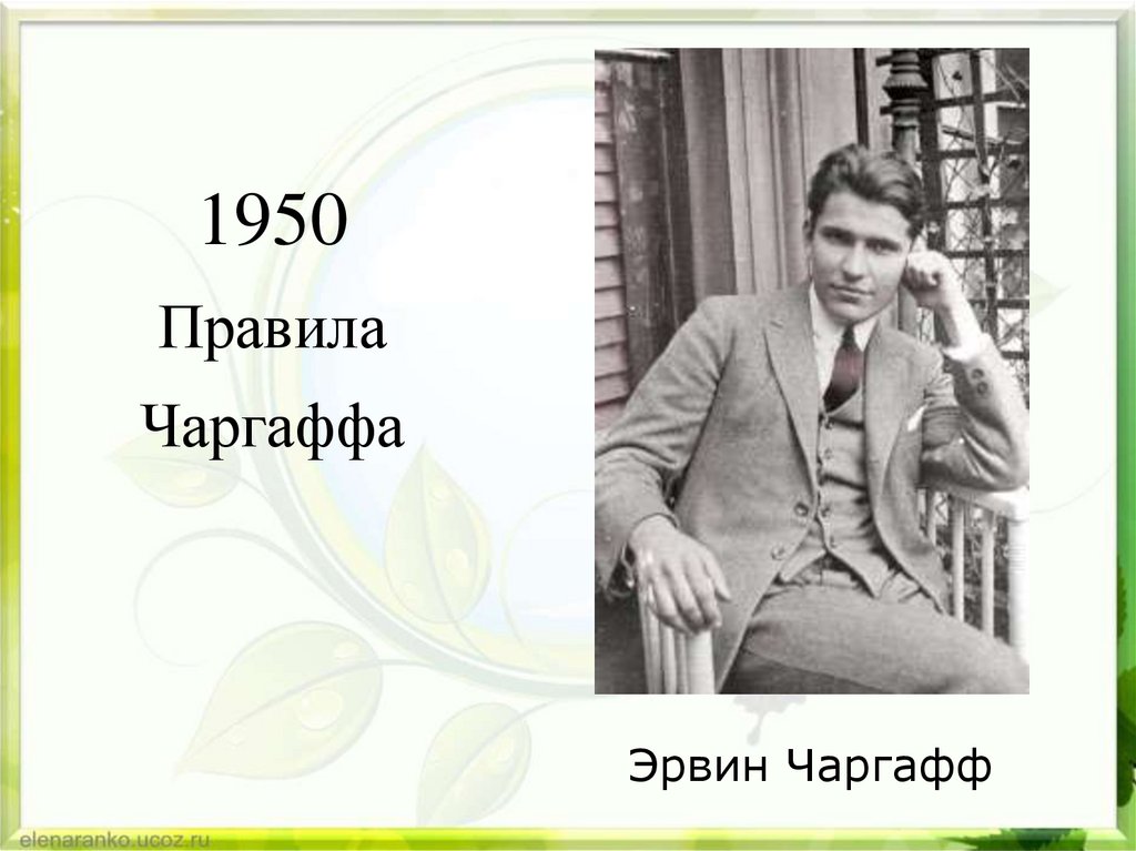 1950 Правила Чаргаффа