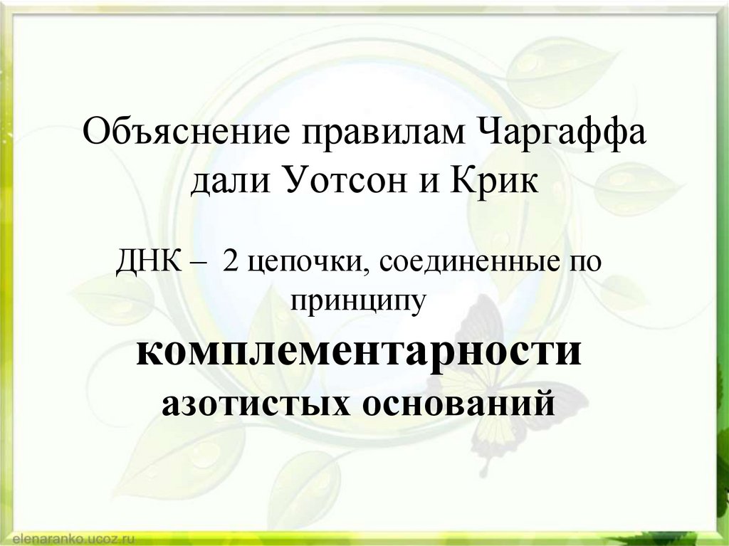 Объяснение правилам Чаргаффа дали Уотсон и Крик