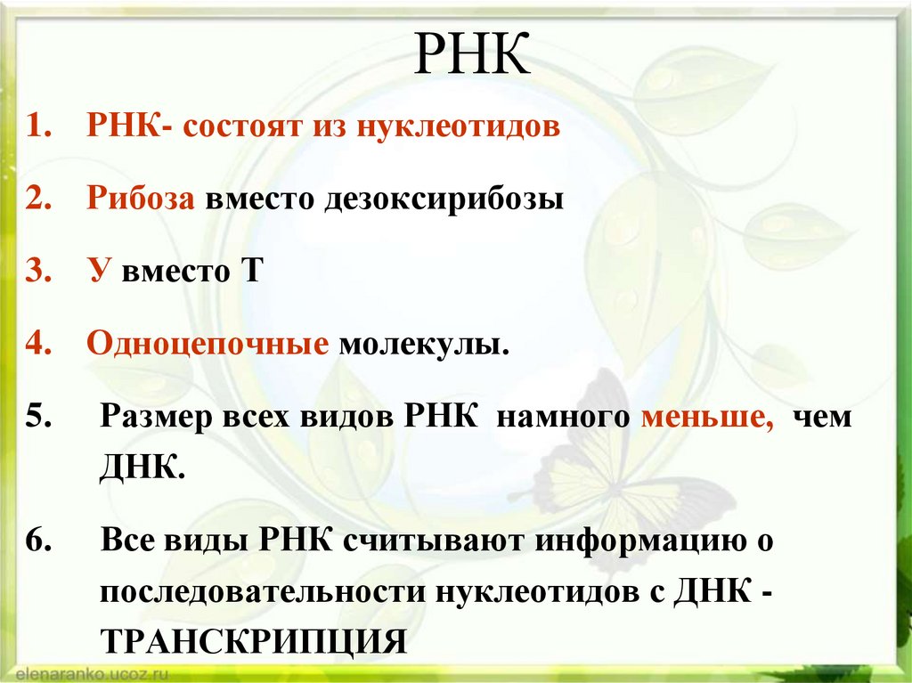 РНК