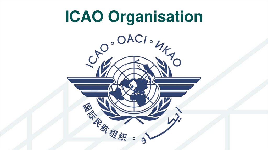ICAO Organisation