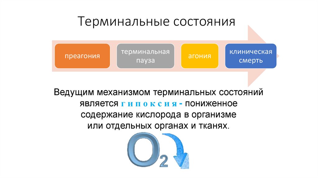 Терминальные состояния