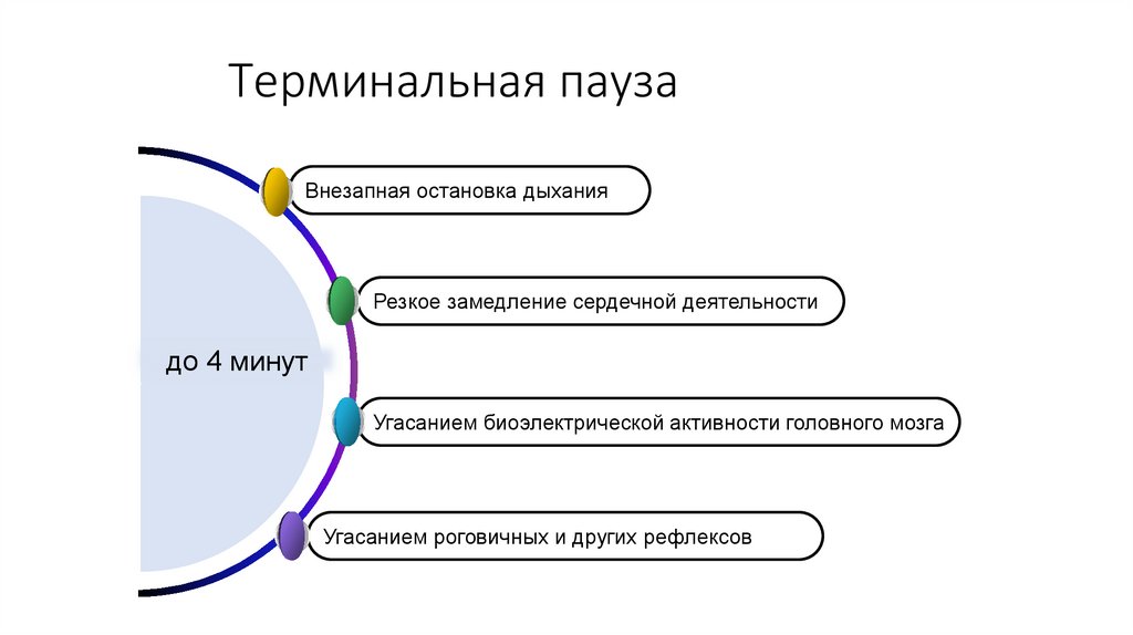 Терминальная пауза
