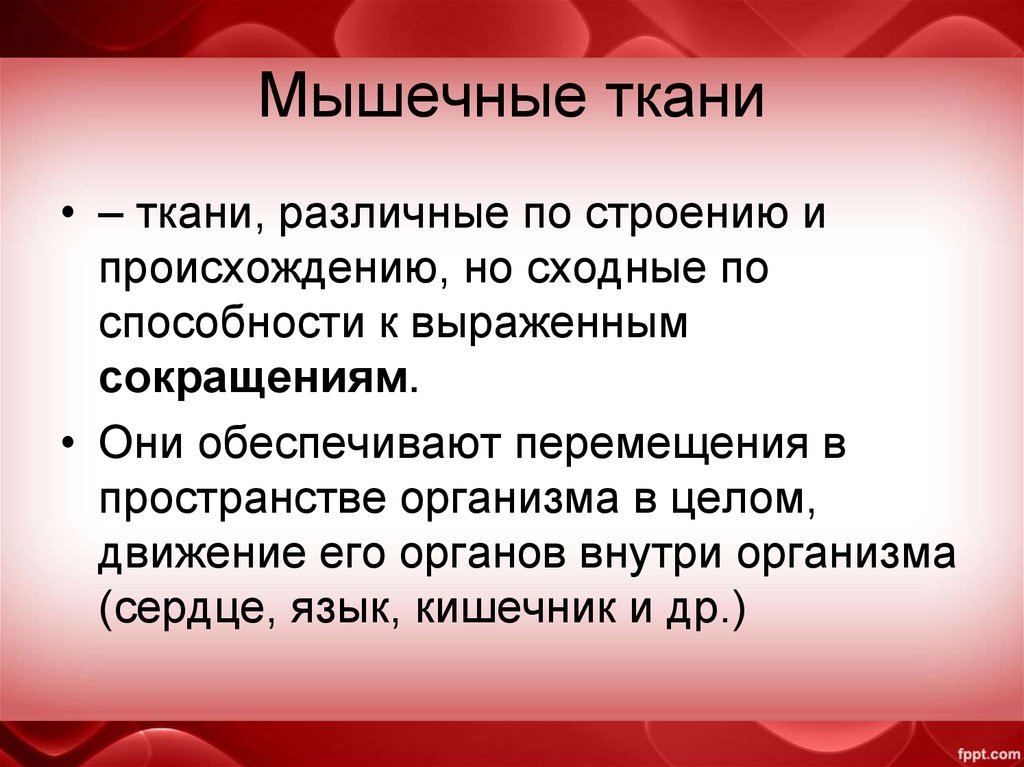 Мышечные ткани