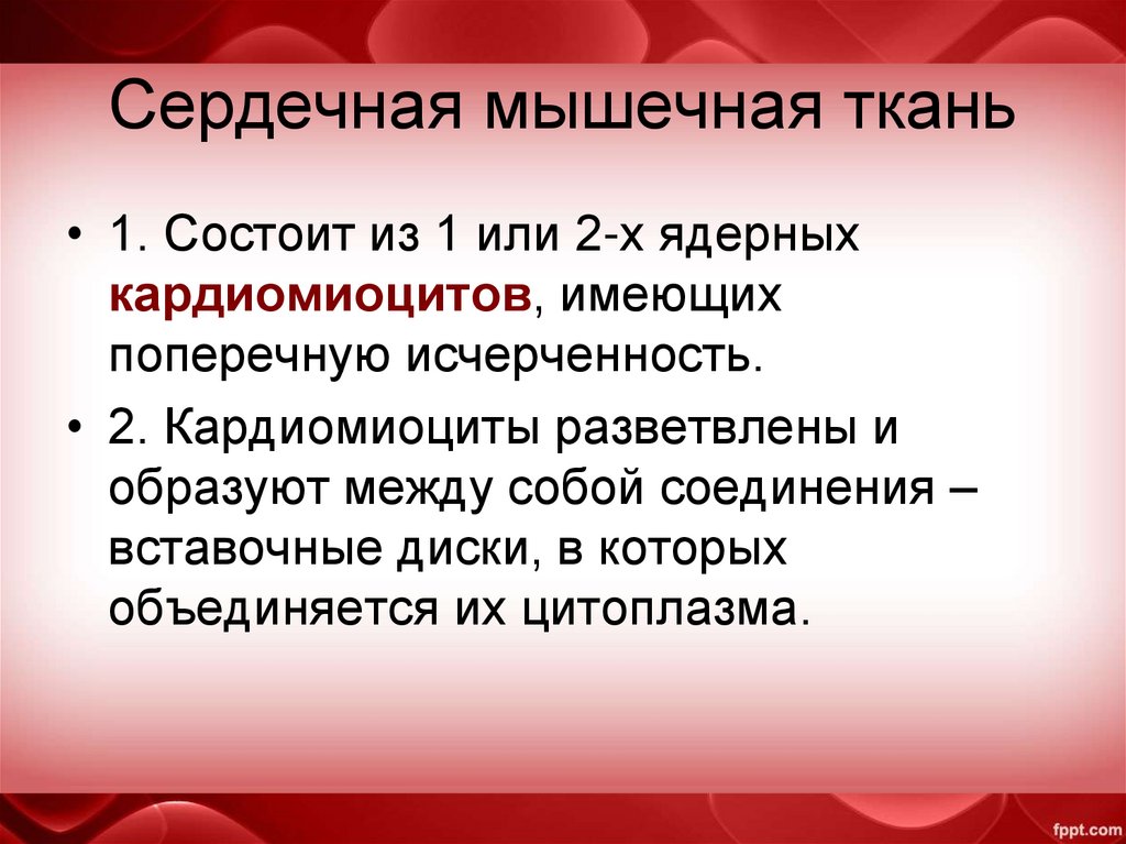 Сердечная мышечная ткань