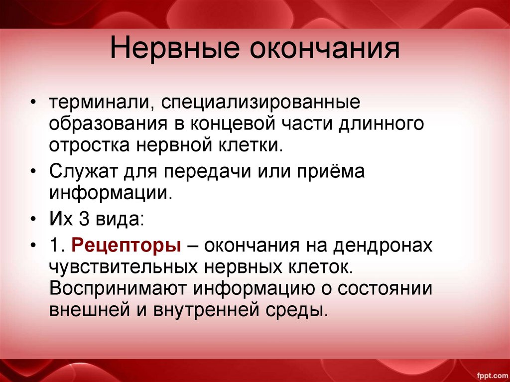 Нервные окончания