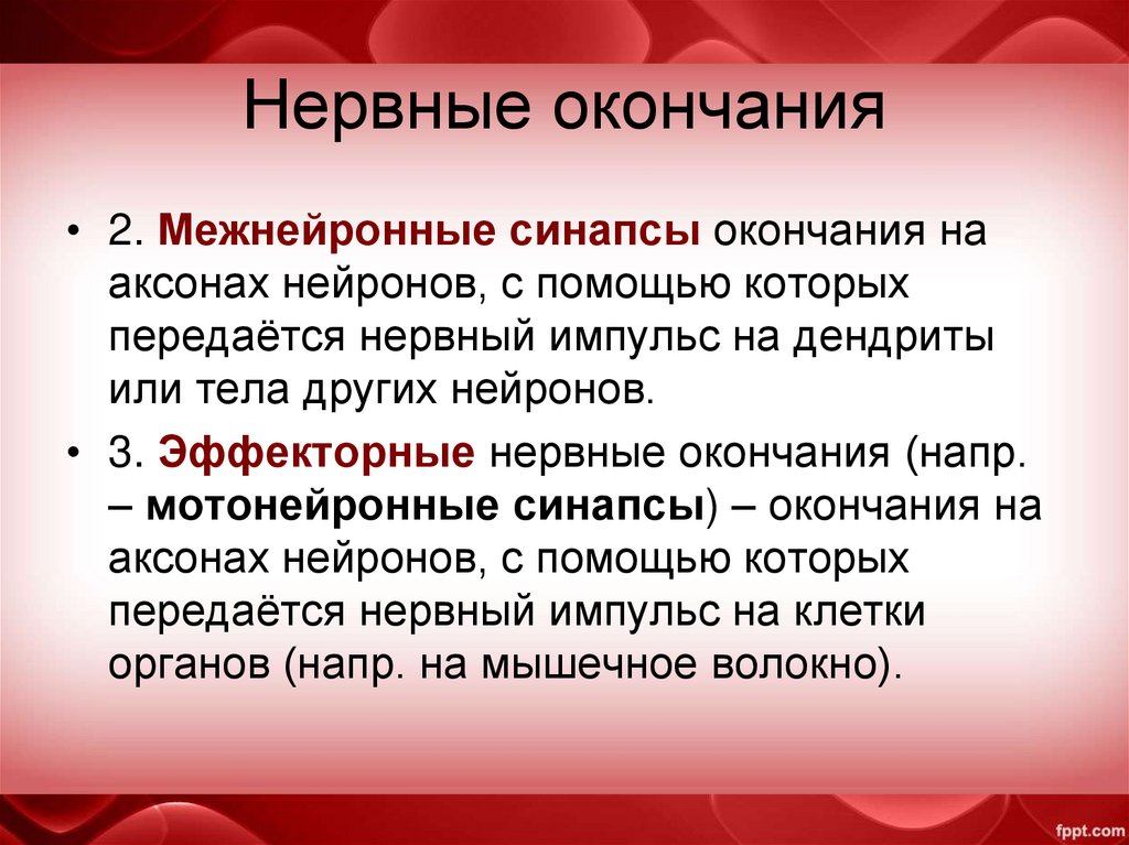 Нервные окончания