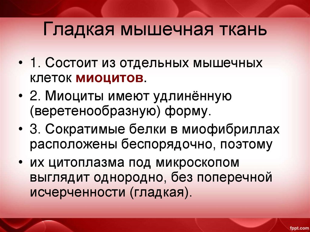 Гладкая мышечная ткань