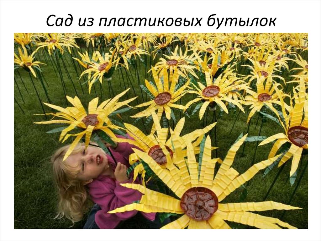 Сад из пластиковых бутылок