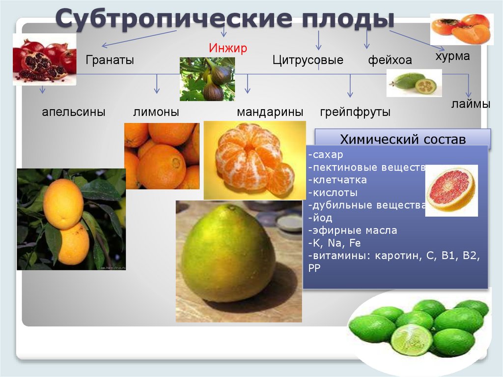 Субтропические плоды