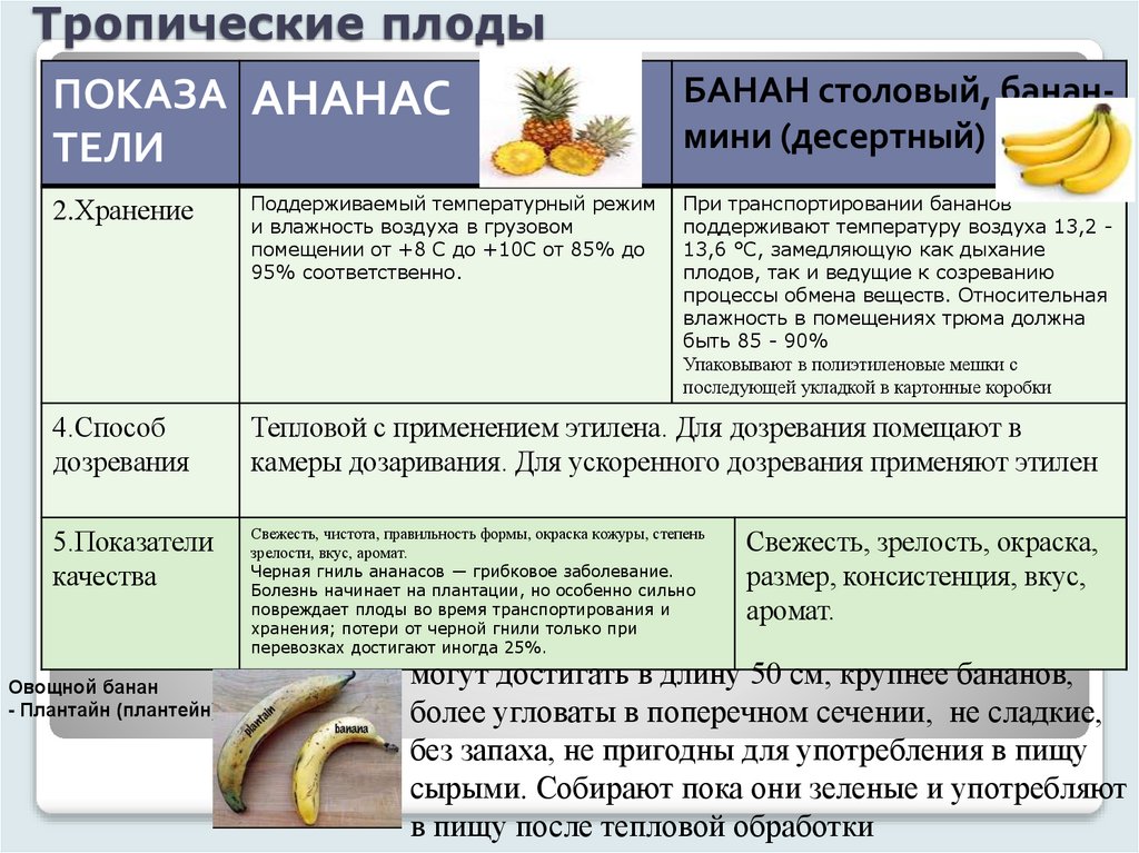 Тропические плоды