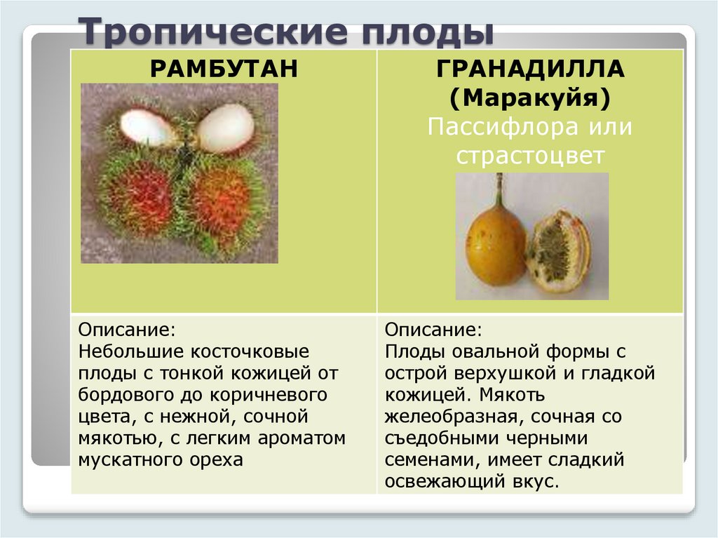 Тропические плоды