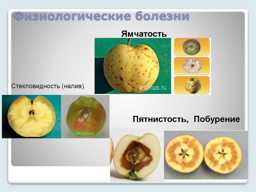 Физиологические болезни