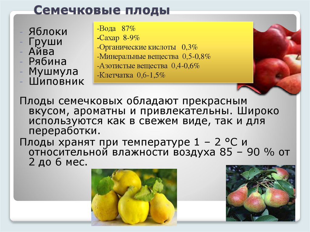 Семечковые плоды